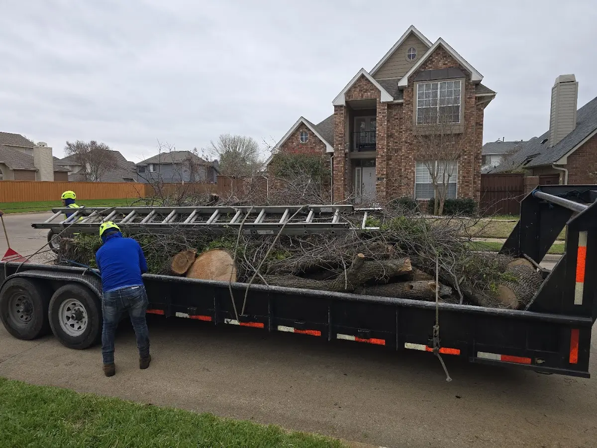 Expert Tree Fertilization with proper safety equipment in Eagarville